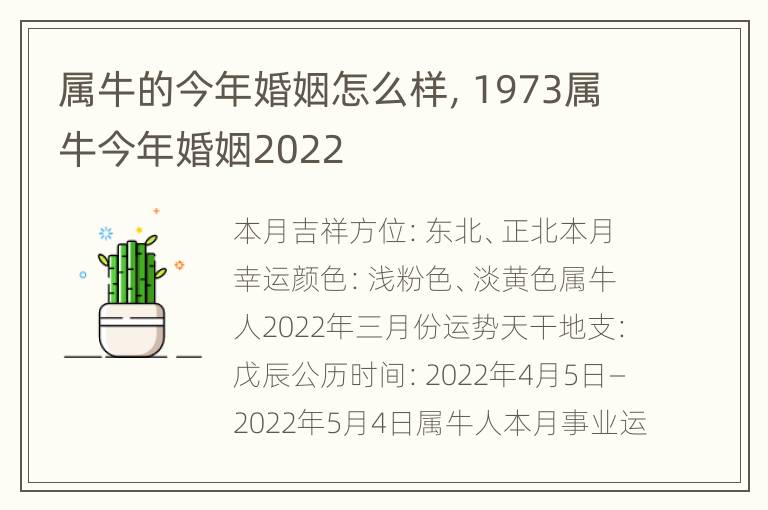 属牛的今年婚姻怎么样，1973属牛今年婚姻2022