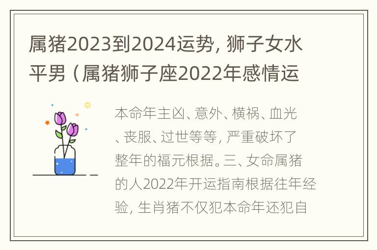 属猪2023到2024运势，狮子女水平男（属猪狮子座2022年感情运势）