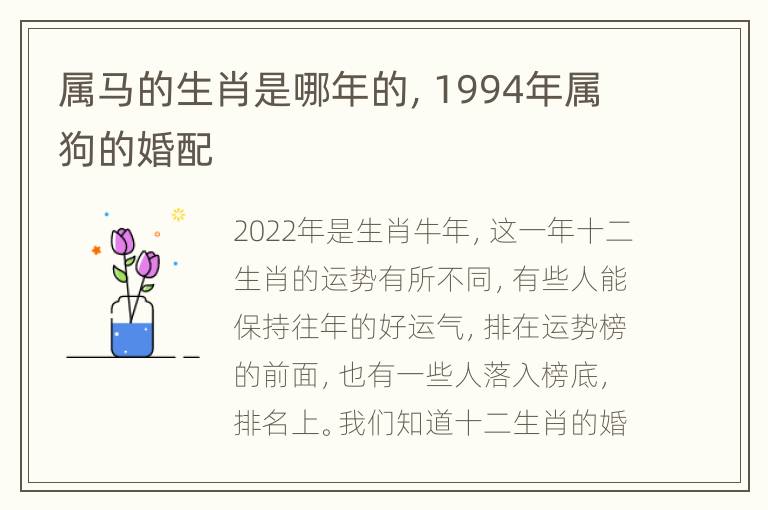 属马的生肖是哪年的，1994年属狗的婚配