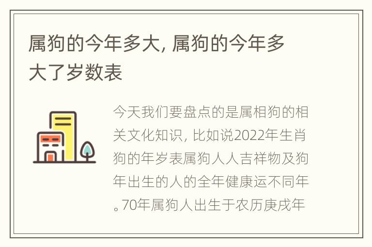 属狗的今年多大，属狗的今年多大了岁数表