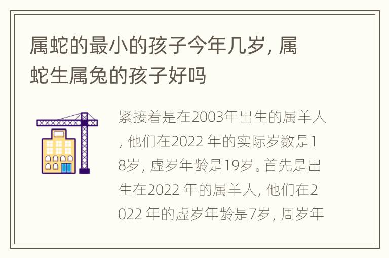 属蛇的最小的孩子今年几岁，属蛇生属兔的孩子好吗