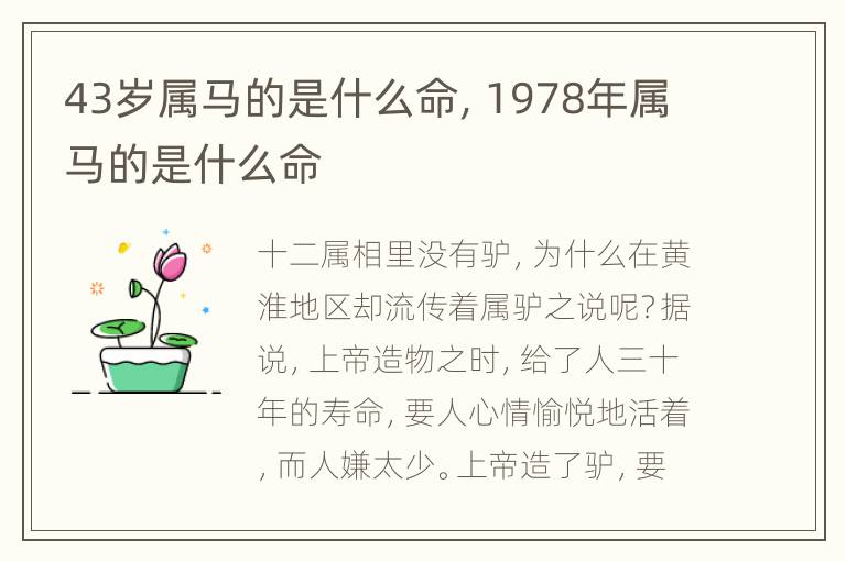 43岁属马的是什么命，1978年属马的是什么命