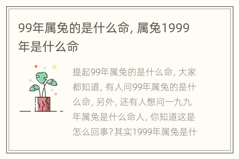 99年属兔的是什么命，属兔1999年是什么命