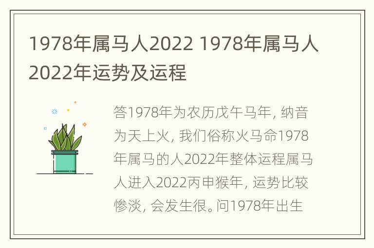 1978年属马人2022 1978年属马人2022年运势及运程