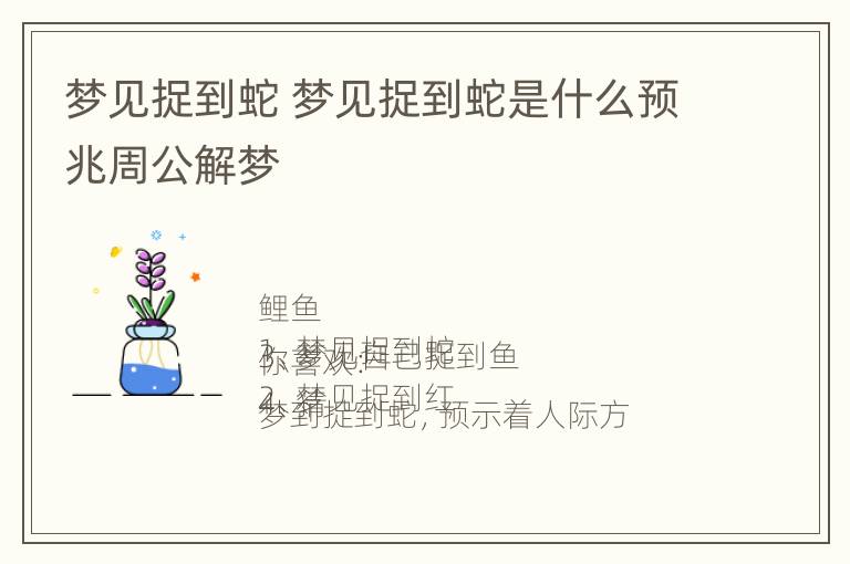 梦见捉到蛇 梦见捉到蛇是什么预兆周公解梦