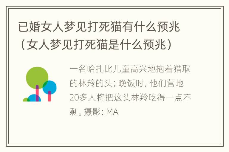 已婚女人梦见打死猫有什么预兆（女人梦见打死猫是什么预兆）