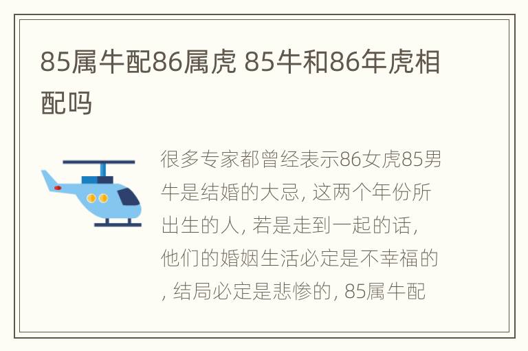 85属牛配86属虎 85牛和86年虎相配吗