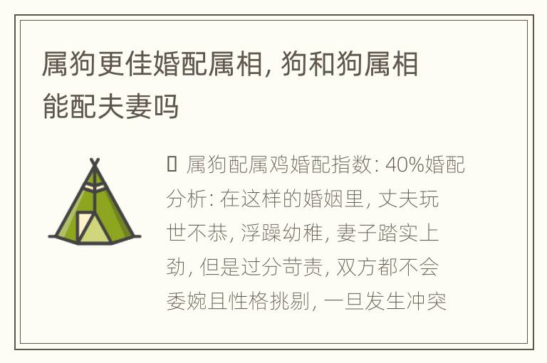 属狗更佳婚配属相，狗和狗属相能配夫妻吗