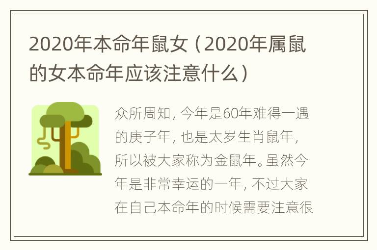 2020年本命年鼠女（2020年属鼠的女本命年应该注意什么）