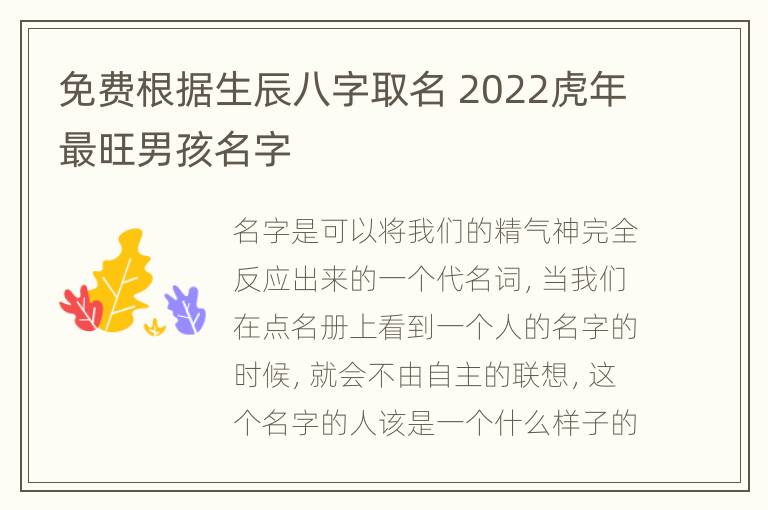 免费根据生辰八字取名 2022虎年最旺男孩名字