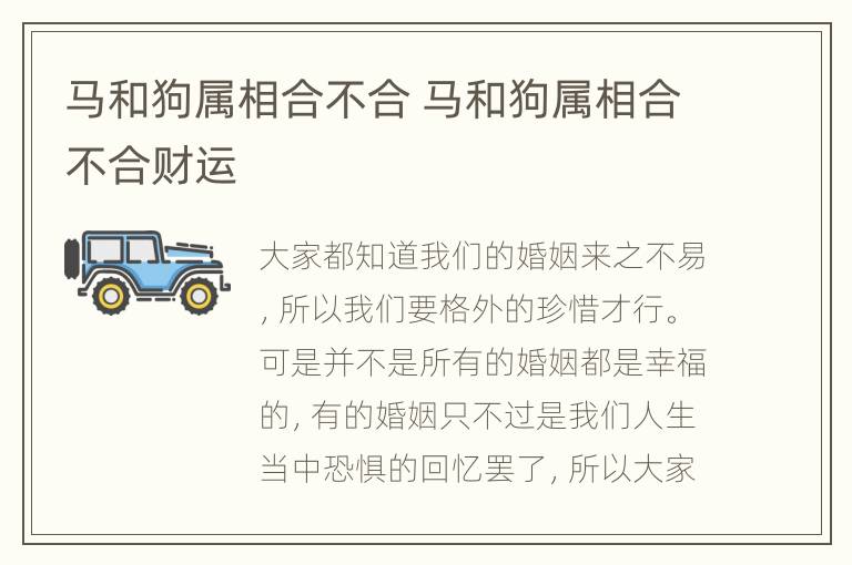 马和狗属相合不合 马和狗属相合不合财运