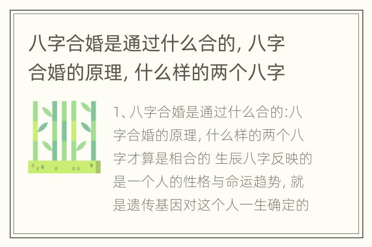 八字合婚是通过什么合的，八字合婚的原理，什么样的两个八字才算是相合的