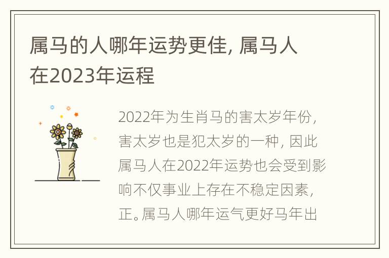 属马的人哪年运势更佳，属马人在2023年运程