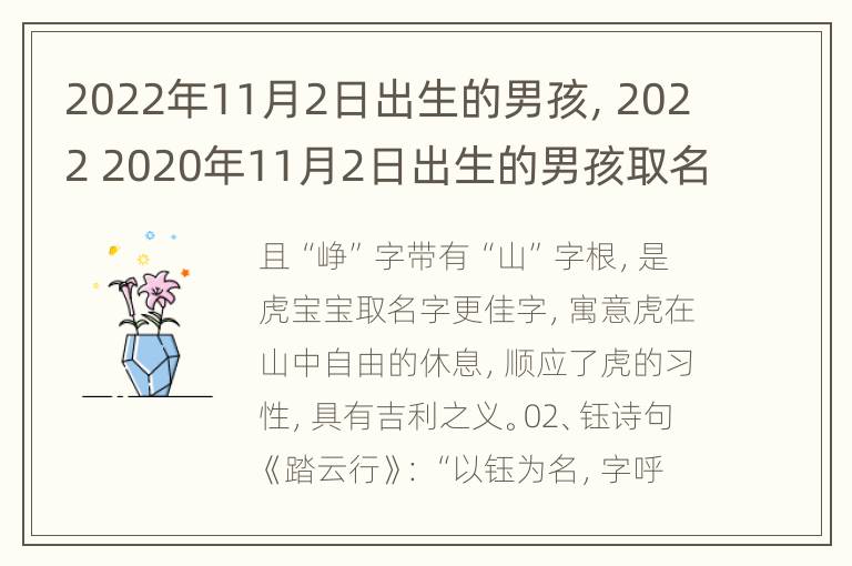 2022年11月2日出生的男孩，2022 2020年11月2日出生的男孩取名