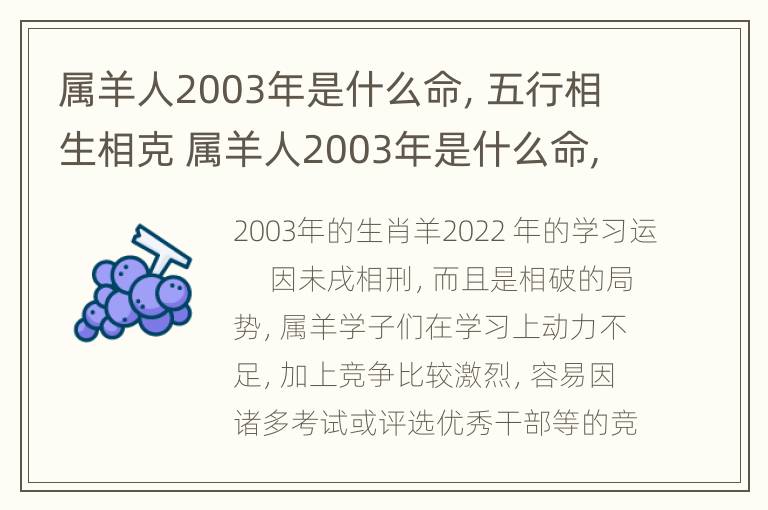 属羊人2003年是什么命，五行相生相克 属羊人2003年是什么命,五行相生相克吗