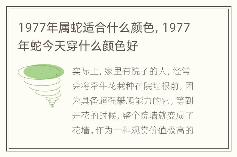 1977年属蛇适合什么颜色，1977年蛇今天穿什么颜色好