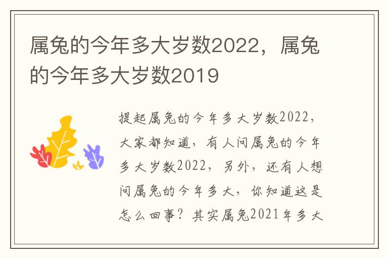 属兔的今年多大岁数2022，属兔的今年多大岁数2019