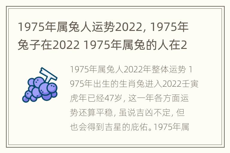 1975年属兔人运势2022，1975年兔子在2022 1975年属兔的人在2022年运气怎么样找大家算