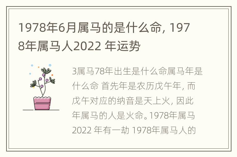 1978年6月属马的是什么命，1978年属马人2022 年运势