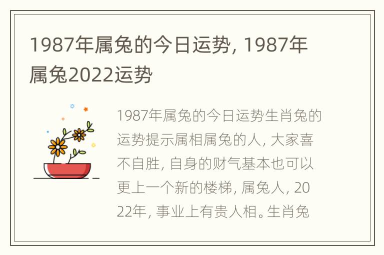 1987年属兔的今日运势，1987年属兔2022运势