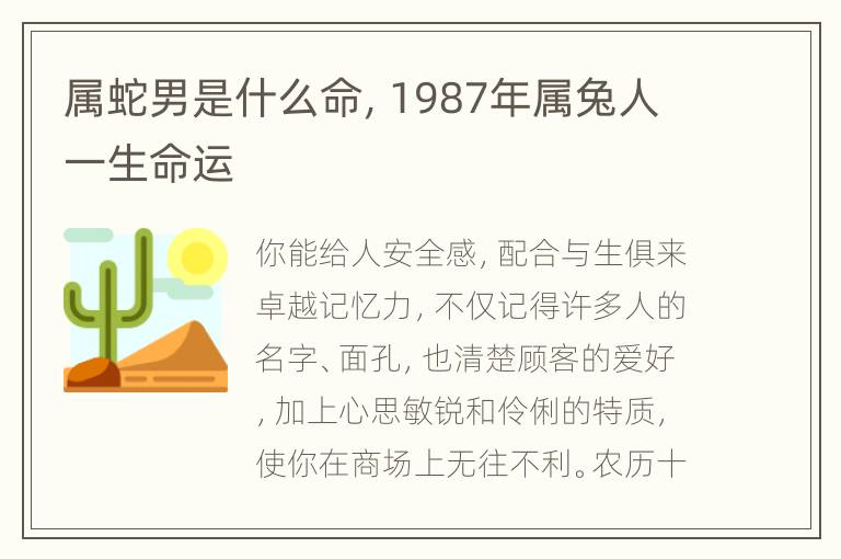 属蛇男是什么命，1987年属兔人一生命运