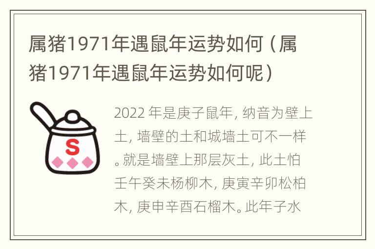 属猪1971年遇鼠年运势如何（属猪1971年遇鼠年运势如何呢）