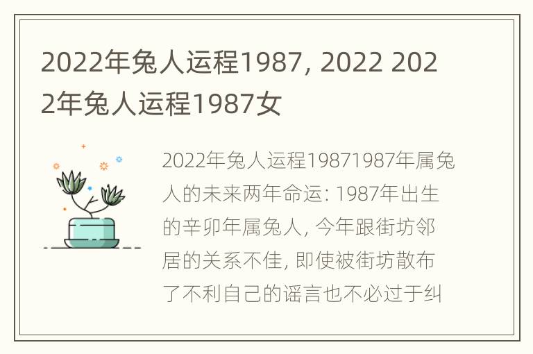 2022年兔人运程1987，2022 2022年兔人运程1987女