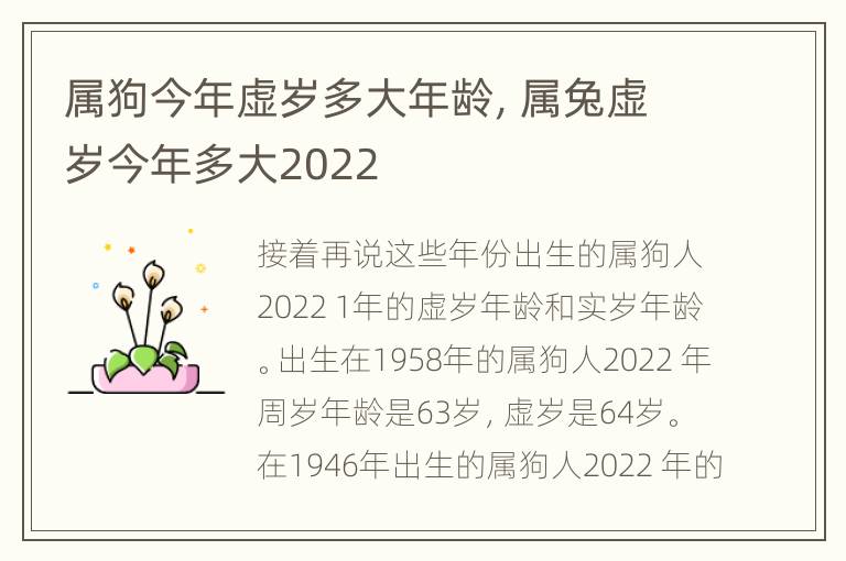 属狗今年虚岁多大年龄，属兔虚岁今年多大2022