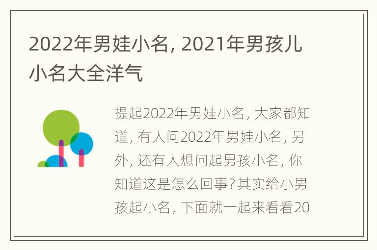 2022年男娃小名，2021年男孩儿小名大全洋气