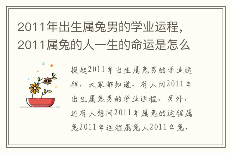 2011年出生属兔男的学业运程，2011属兔的人一生的命运是怎么样的