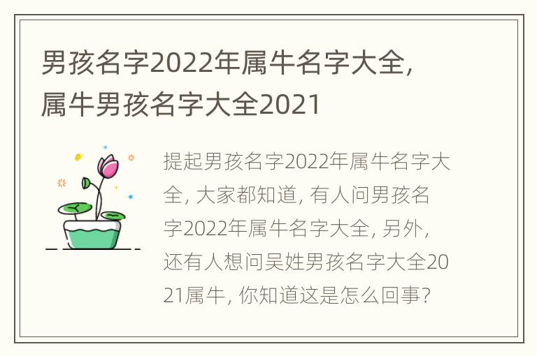 男孩名字2022年属牛名字大全，属牛男孩名字大全2021