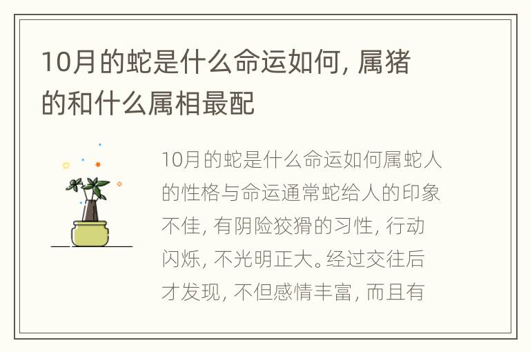 10月的蛇是什么命运如何，属猪的和什么属相最配