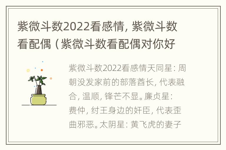 紫微斗数2022看感情，紫微斗数看配偶（紫微斗数看配偶对你好不好）