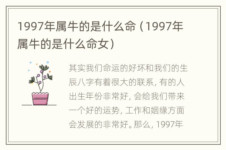 1997年属牛的是什么命（1997年属牛的是什么命女）