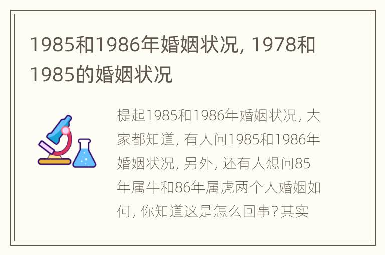 1985和1986年婚姻状况，1978和1985的婚姻状况