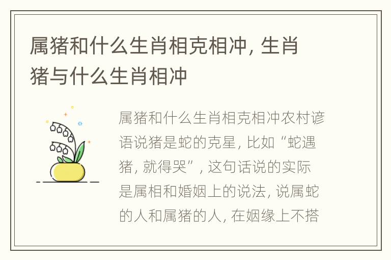 属猪和什么生肖相克相冲，生肖猪与什么生肖相冲