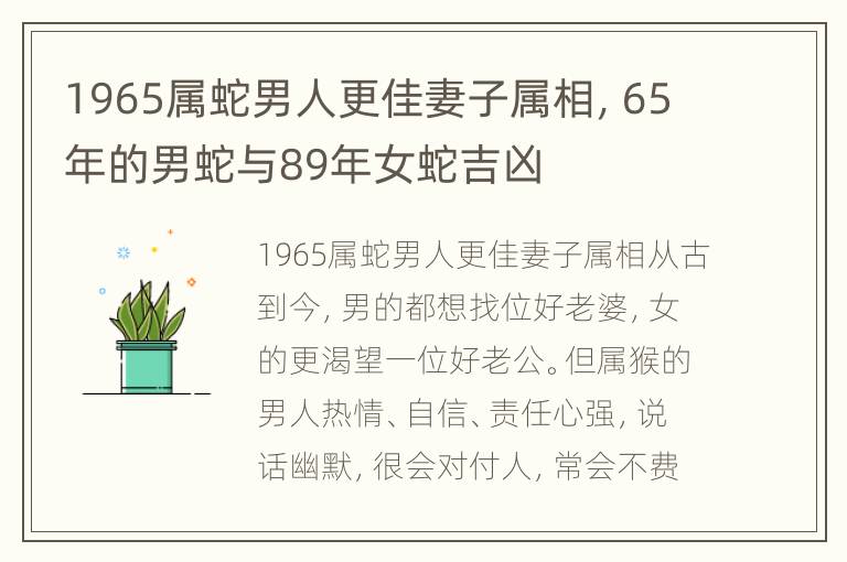 1965属蛇男人更佳妻子属相，65年的男蛇与89年女蛇吉凶