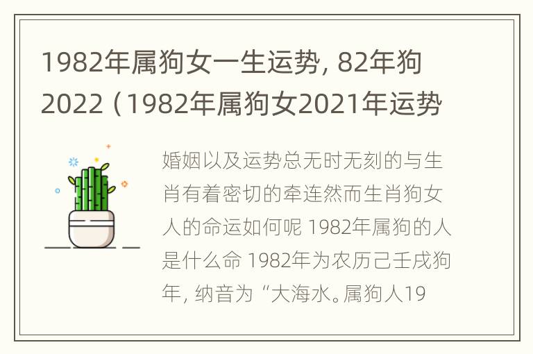 1982年属狗女一生运势，82年狗2022（1982年属狗女2021年运势如何）