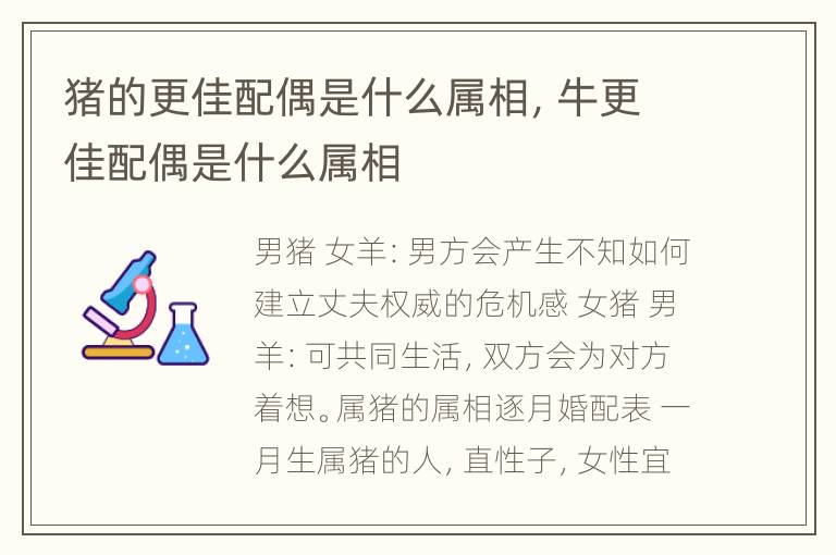 猪的更佳配偶是什么属相，牛更佳配偶是什么属相