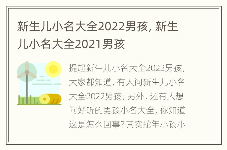 新生儿小名大全2022男孩，新生儿小名大全2021男孩