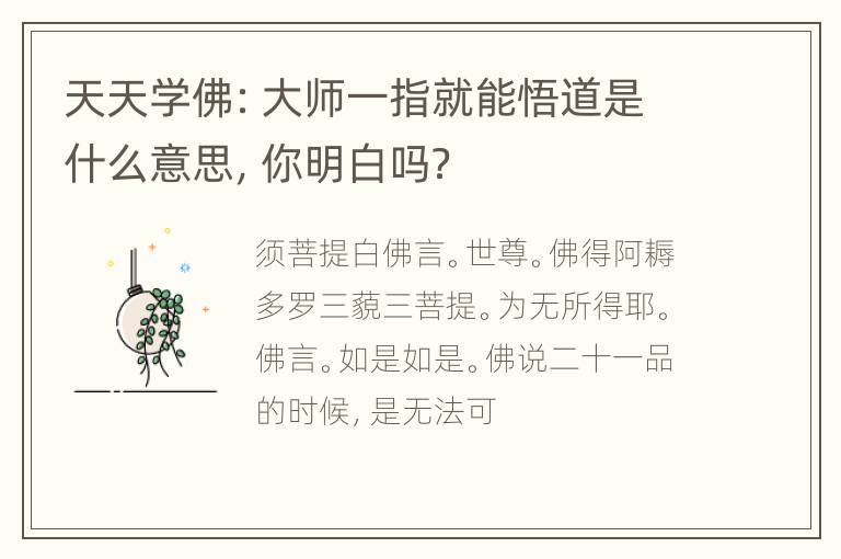 天天学佛：大师一指就能悟道是什么意思，你明白吗？