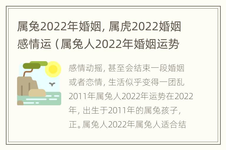 属兔2022年婚姻，属虎2022婚姻感情运（属兔人2022年婚姻运势）