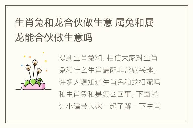 生肖兔和龙合伙做生意 属兔和属龙能合伙做生意吗