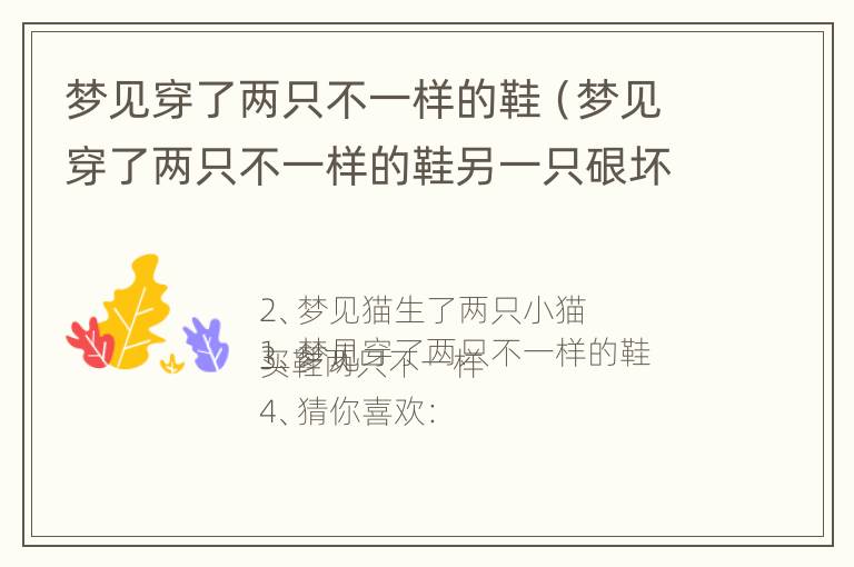 梦见穿了两只不一样的鞋（梦见穿了两只不一样的鞋另一只硍坏了）