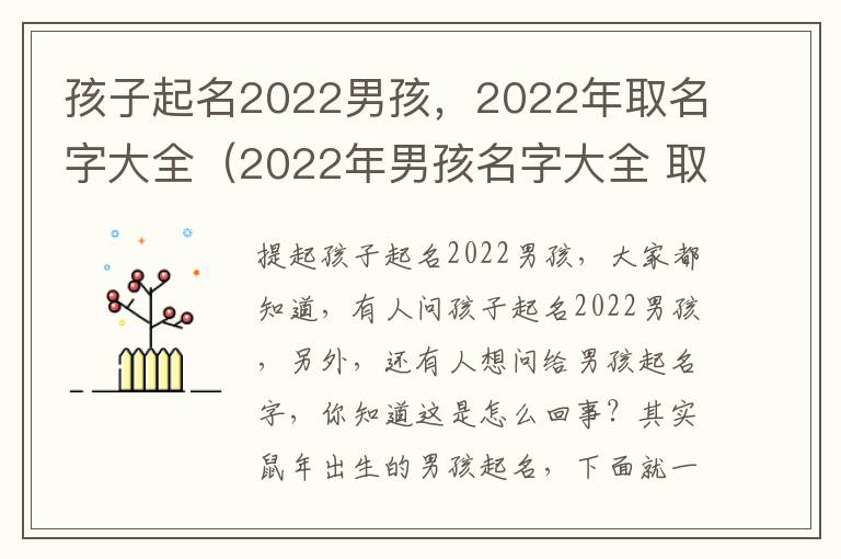 孩子起名2022男孩，2022年取名字大全（2022年男孩名字大全 取名）