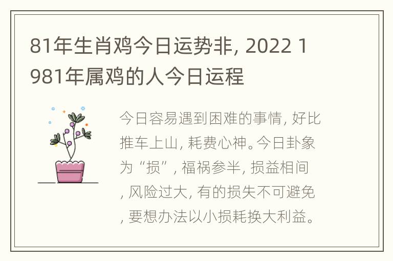 81年生肖鸡今日运势非，2022 1981年属鸡的人今日运程