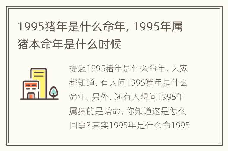 1995猪年是什么命年，1995年属猪本命年是什么时候