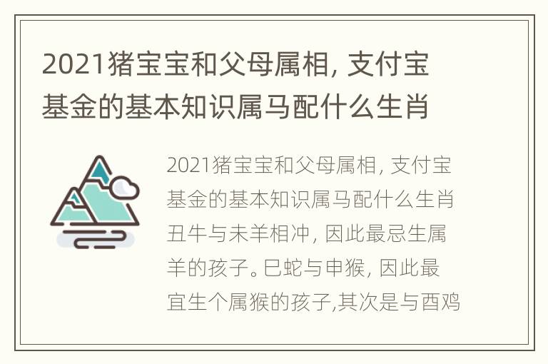 2021猪宝宝和父母属相，支付宝基金的基本知识属马配什么生肖