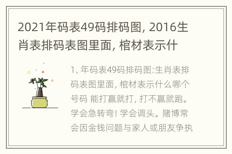 2021年码表49码排码图，2016生肖表排码表图里面，棺材表示什么哪