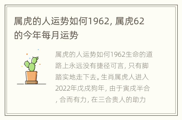 属虎的人运势如何1962，属虎62的今年每月运势